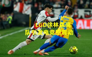 LGD徐林森离队引发电竞圈震动