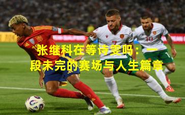 张继科在等诗雯吗：一段未完的赛场与人生篇章
